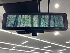 �ڥ���ƥꥸ����ȥ롼��ߥ顼�۸��ʤ��礭�ʲ�ʪ��Ʊ��ԤǸ�������ǧ���Ť餤���Ǥ�¿�������餬���Ƥ�����ξ�����α�����롼��ߥ顼���ɽ�������ꥢ�ʻ볦�Ǿ����γ�ǧ����ǽ�Ǥ��� 5