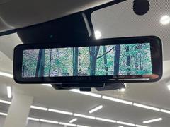 �ڥ���ƥꥸ����ȥ롼��ߥ顼�۸��ʤ��礭�ʲ�ʪ��Ʊ��ԤǸ�������ǧ���Ť餤���Ǥ�¿�������餬���Ƥ�����ξ�����α�����롼��ߥ顼���ɽ�������ꥢ�ʻ볦�Ǿ����γ�ǧ����ǽ�Ǥ��� 6