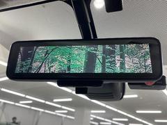 �ڥ���ƥꥸ����ȥ롼��ߥ顼�۸��ʤ��礭�ʲ�ʪ��Ʊ��ԤǸ�������ǧ���Ť餤���Ǥ�¿�������餬���Ƥ�����ξ�����α�����롼��ߥ顼���ɽ�������ꥢ�ʻ볦�Ǿ����γ�ǧ����ǽ�Ǥ��� 7