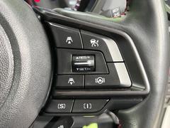 ������®�ɽ���ǽ�ե��롼������ȥ�����۹�®ƻϩ�Ǥ�Ĺ��Υ���Ԥ��ڤˡ�����ư��®�٤��ݤĥ��롼������ȥ����뤬�����ͷڸ������ƥ��Ϣ�Ȥ��������μ�ξ���Τ��Ƽִ֤��ݤĤ褦��®��Ĵ�ᤷ�Ƥ���ޤ����� 5