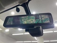 �ڥ���ƥꥸ����ȥ롼��ߥ顼�۸��ʤ��礭�ʲ�ʪ��Ʊ��ԤǸ�������ǧ���Ť餤���Ǥ�¿�������餬���Ƥ�����ξ�����α�����롼��ߥ顼���ɽ�������ꥢ�ʻ볦�Ǿ����γ�ǧ����ǽ�Ǥ��� 7