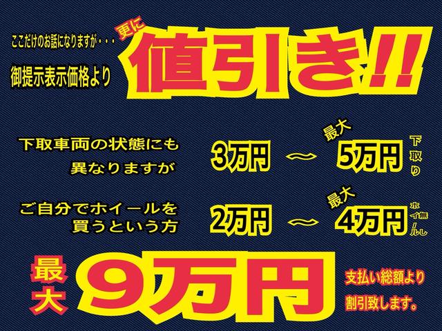 ハイルーフＲＢＳ装着車　特別仕様車ＰＡリミテッド(69枚目)