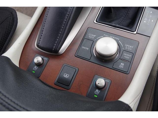 LS LS460 バージョンC バックカメラ フォグライト ETC プライバシーガラス ESC HDDナビ スマートキー フルセグTV ミュージックサーバー ミュージックプレイヤー接続可 クルーズコントロール(35枚目)