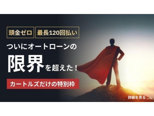 マーチ ニスモ　Ｓ　テレビ　ＷＳＲＳ　運転席エアバック　ＵＳＢ接続　盗難防止装置　Ｂカメラ　フルオートエアコン　ＤＶＤ再生　キーレスエントリー　エアロ　Ａライト　ＥＴＣ　ワンセグ　ＰＳ　ローダウン　ＡＢＳ　横滑防止（77枚目）