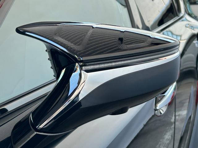 �s�q�c�G�A���_�C�i�~�b�N�X�~���[�J�o�[���t���Ă��ă~���[�������������ł��I