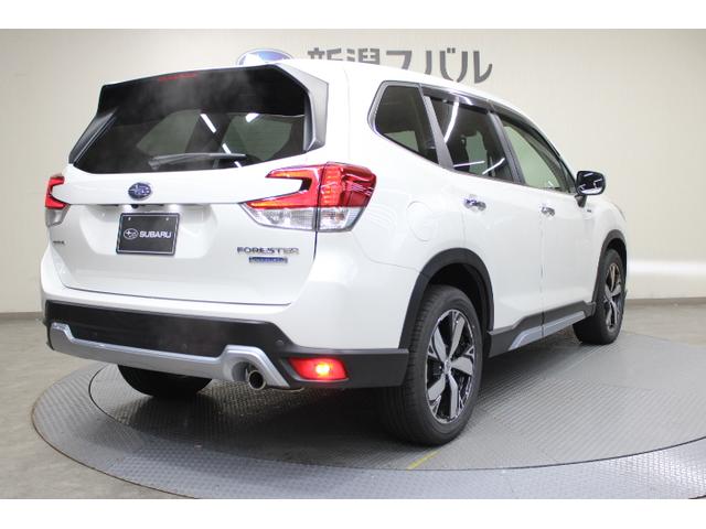 �l�C�̃X�o���r�t�u�t�H���X�^�[�A�{�i�I�ȑ��j���\�Ɖ��K�ȏ��S�n���������܂����A�g���l�̐l���̉\�����L����p�[�g�i�[�̂悤�ȑ��݂̎Ԃł�