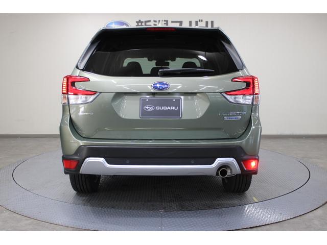 �����Ό��G���W���ɓd���Z�p��g�ݍ��킹���u���|�a�n�w�d�q�v�B���炩�ŁA���X�|���X�ɗD�ꂽ�������������܂����B