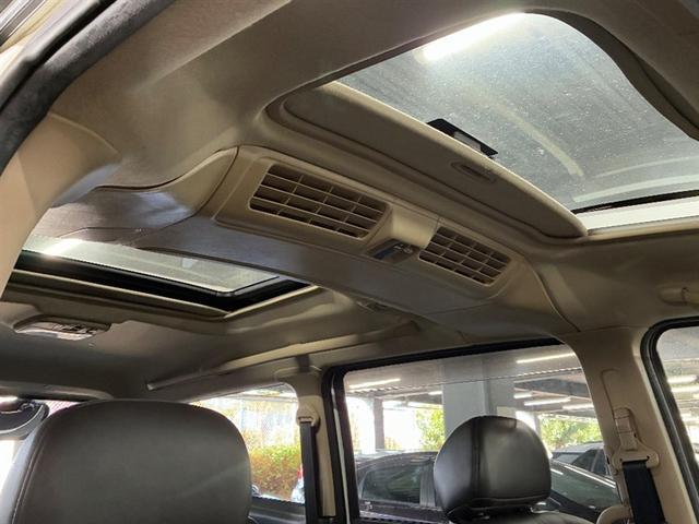 セレナ ライダー（8枚目）