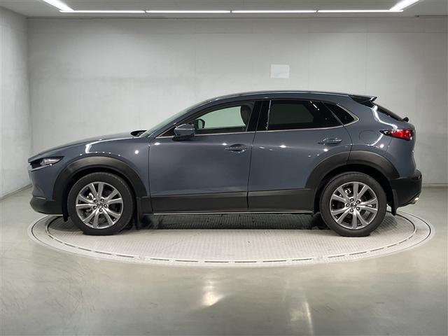 �t�|�b�����@�v�d�a�\����X�ł́A�e�t�|�b�����X�ܔz���O�ɏ��𑁏o���I���C�ɓ���̎ԗ���������܂�����A�܂��͂v�d�a�ɂĖ₢���킹�Ă��������B