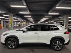 饯 ڡࡼ롼աɻߵǽɻ֡ʥ 3000454A20251102T003 3