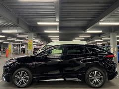 ϥꥢ ǡߡ䥫顡ʥӡӥ饤 3000454A20251130T002 2