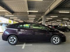 �ץꥦ�� �ӡ��¥�˥��ݡ��ե륻���ϥǥ������գ���³�ġ�����ƥꥭ�� 3000454A20251224T001 3