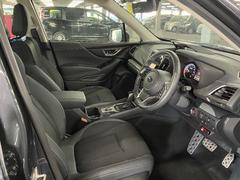 �ե��쥹���� ���ɥХ󥹡�����ݥʥӡ����륳�󡡥����쥹���ţԣüֺܴ� 3000454A20251225T009 6