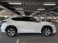 �Σ� �Σأ������衡�С������̡��ϡ��ե쥶������ư�ѥ�����ȡ��ϥǥ� 3000454A20251225T011 3