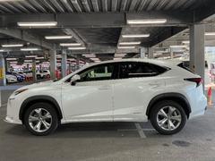 �Σ� �Σأ������衡�С������̡��ϡ��ե쥶������ư�ѥ�����ȡ��ϥǥ� 3000454A20251225T011 4