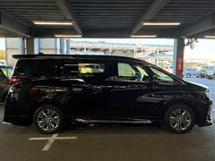 ����ե����ɥϥ��֥�å� �ڡ�ξ��ư�ɥ����ϡ��ե쥶�������ȡ��ե륻���ƥ�ӡ����ޡ��ȥ��� 3000454A20260117T013 3