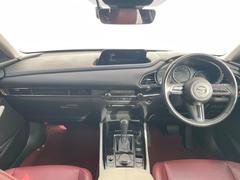 ���롼�����߸˿��󣳣����������桪������η���Ź����᡼�������ּ���鷺���Ҳ�����Τǡ����ʤ��˥ԥå���Τ��֤����Ĥ���Ϥ��Ǥ����ޤ��Ϥ��䤤��碌�������� 2