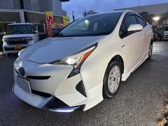 �ץꥦ�� �ӡ����ڻ����������ӣĥʥӡ��ե륻���ԣ֡��Хå������ 3000476A30251220W001 3