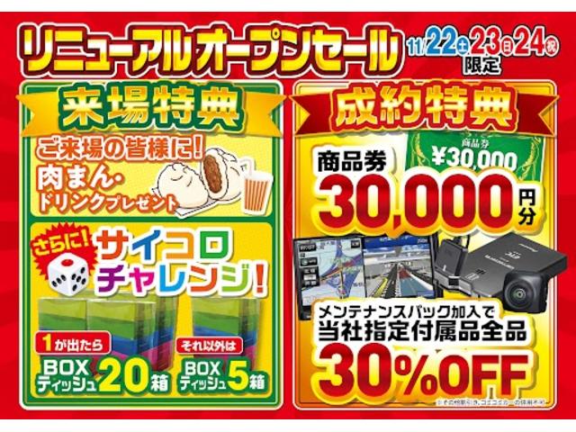 アトレー ＲＳ　フルセグＴＶ付きナビ　バックカメラ　ドライブレコーダー付デジタルルームミラー　ＥＴＣ　両側電動パワースライドドア　クルーズコントロール　パーキングソナ―　ＬＥＤヘッドライト　ＬＥＤフォグランプ　ＡＢＳ（2枚目）