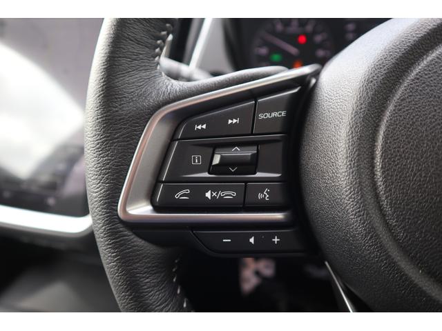 クロストレック リミテッド(44枚目)