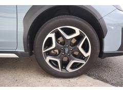 �أ� ���������塡�ţ���ӣ������ܼ֡����ףġ��ǥ奢�뵡ǽ�ե����ȥ������󡡥����ȥ磻�ѡ� 3000524A20251208B002 7