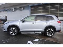 �ե��쥹���� ���ɥХ󥹡�����󥿥��������ףġ����������ȥ����եƥ��ץ饹���ǥ奢�뵡ǽ�դ������ȥ������� 3000524A20251213B003 3