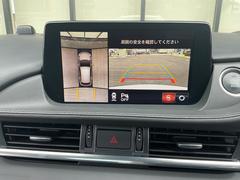 ͣڣģ若 أĥץƥ֡󥪡ʡʥӡե륻ԣ̥֡ 3000528A30251031W001 6