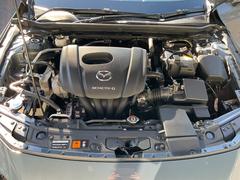 �ͣ��ڣģ����ե����ȥХå� �����ӥġ���󥰡������ʥӥե륻���ԣ֡��Хå�����顡�졼�������롼������ȥ����롡�ţԣ� 3000528A30251129W002 6