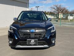 �ե��쥹���� ���ɥХ� 3000528A30251229W004 2