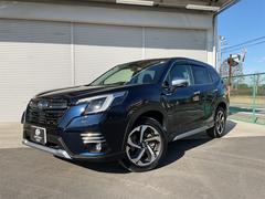 �ե��쥹���� ���ɥХ� 3000528A30251229W004 6