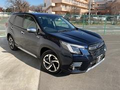 �ե��쥹���� ���ɥХ� 3000528A30251229W004 7