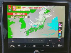 �̣£� ��꥾�����ңҡ���󥪡��ʡ��������ʥӡ��ե륻���ԣ� 3000528A30260109W003 4