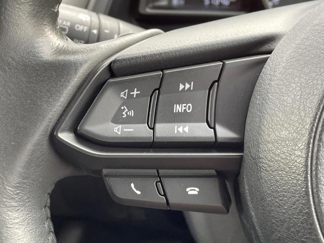 ＣＸ－３ ２０Ｓ　純正ナビ　全周囲カメラ　スマート・ブレーキ・サポート　禁煙車　ドラレコ　コーナーセンサー　スマートキー　ＬＥＤヘッド　ＥＴＣ　オートマチックハイビーム　ブラインドスポットモニター　車線逸脱警報（64枚目）
