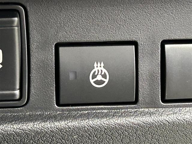 デリカミニ Ｔ　プレミアム　届出済未使用車　純正９インチディスプレイオーディオ　アラウンドビューモニター　マイパイロット　両側パワースライドドア　ＬＥＤ　ＡＨＢ　シートヒーター　純正１５インチＡＷ　ステアリングリモコン（9枚目）