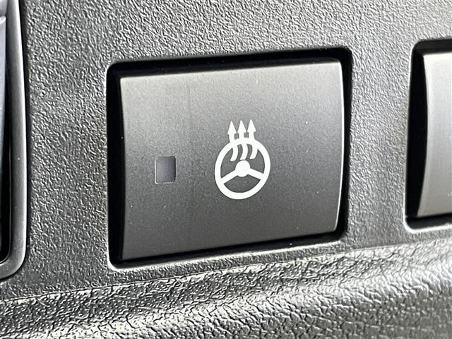 デリカミニ T プレミアム 届出済未使用車 純正10インチディスプレイオーディオ 全方位 アダプティブクルーズコントロール レーンアシスト 衝突軽減 両側パワースライドドア オートマチックハイビーム 横滑り 障害物センサー 禁煙(14枚目)