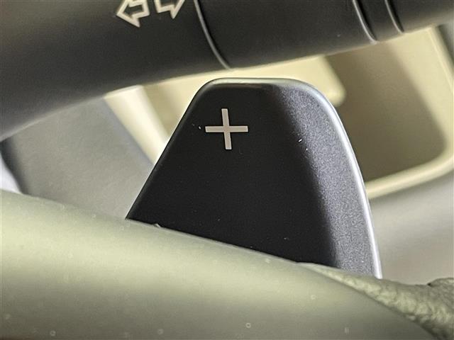 デリカミニ T プレミアム 届出済未使用車 純正10インチディスプレイオーディオ 全方位 アダプティブクルーズコントロール レーンアシスト 衝突軽減 両側パワースライドドア オートマチックハイビーム 横滑り 障害物センサー 禁煙(23枚目)