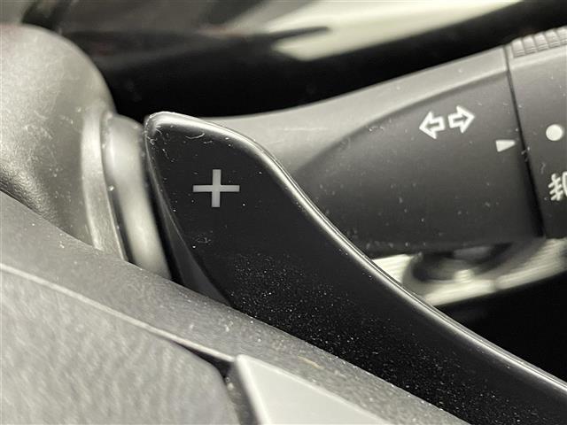 スペーシアカスタム ハイブリッドXSターボ 純正8インチナビ 全方位カメラ 両側パワースライドドア 衝突軽減 アダプティブクルーズコントロール レーンアシスト オートマチックハイビーム スマートキー プッシュスタート 横滑り防止 禁煙車(21枚目)