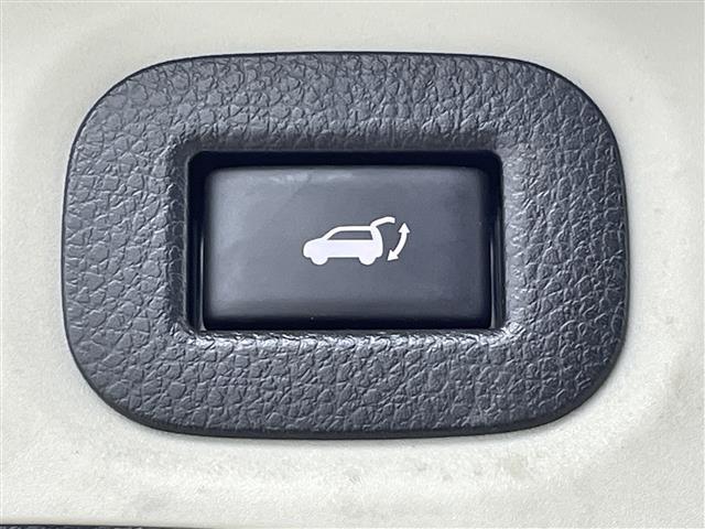 エクストレイル 20Xi 衝突軽減 社外7インチナビ アラウンドビューモニター レーダークルーズコントロール パワーバックドア LEDライト 純正18インチアルミホイール ステアリングリモコン スマートキー ETC 禁煙車(24枚目)