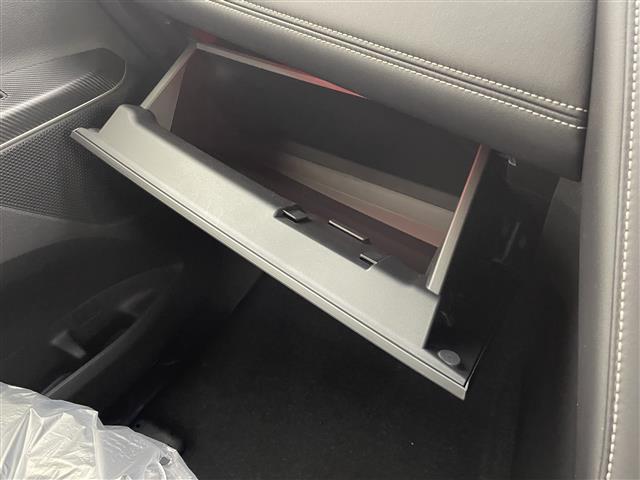 デリカＤ：５ シャモニー　４ＷＤ　登録済未使用車　ＢＳＭ　ハーフレザーシート　電動リアゲート　アダプティブクルーズコントロール　衝突被害軽減ブレーキ　レーンアシスト　オートマチックハイビーム　ＬＥＤ　ステアリングヒーター　禁煙（21枚目）