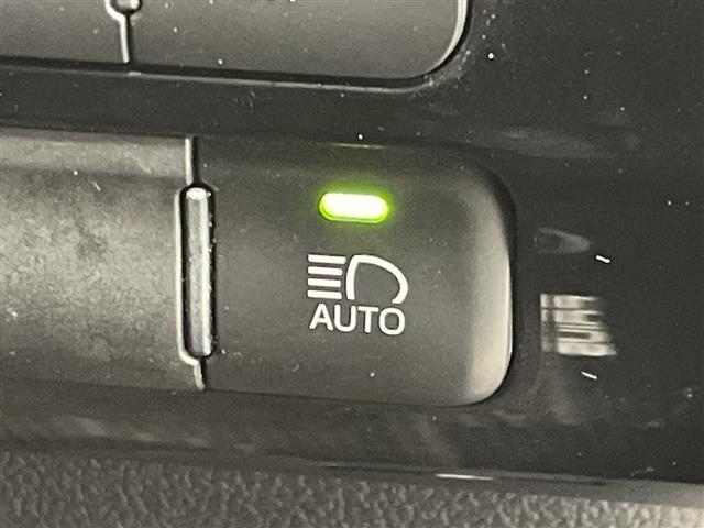 �f�ډӏ��ȊO�ɂ���]�̎ʐ^���������܂�����A���C�y�ɂ��₢���킹�������I���[����X���ł����肳���Ă��������܂��B