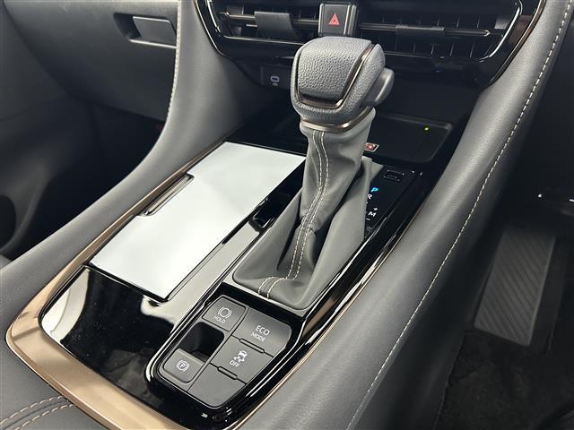 アルファード Z 禁煙 サンルーフ 両側パワースライドドア パワーバックドア 純正ディスプレイオーディオ アラウンドビューモニター レーダークルーズコントロール シートヒーター パワーシート エアシート USBポート(22枚目)