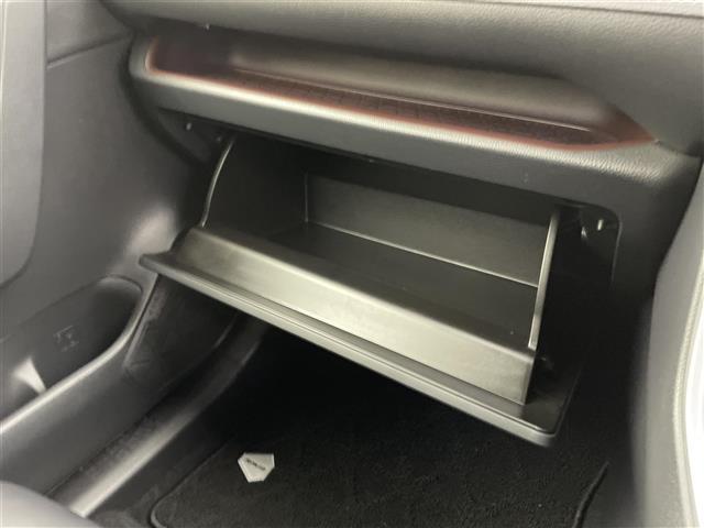 ＲＡＶ４ Ｇ　Ｚパッケージ　禁煙車　社外９インチナビ　ＴＲＤエアロ　衝突被害軽減ブレーキ　レーダークルーズコントロール　レザーシート　シートヒーター　パワーシート　バックカメラ　　ステアリングヒーター　ビルトインＥＴＣ（24枚目）