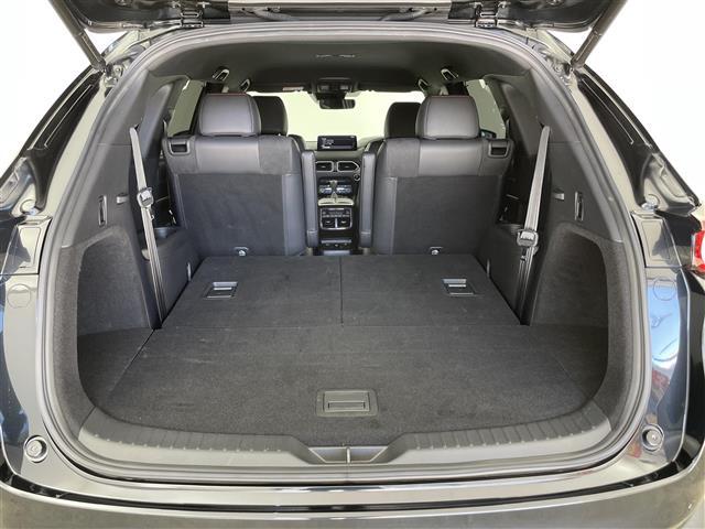 ＣＸ－８ ＸＤ　ブラックトーンエディション　禁煙車　純正ナビ　全方位カメラ　ＢＯＳＥサウンド　ルーフレール　ＢＳＭ　ＨＵＤ　パワーバックドア　ＬＥＤヘッドライト　ハーフレザーシート　パワーシート　シートヒーター　フルセグＴＶ　Ｂｌｕｅｔｏｏｔｈ（30枚目）