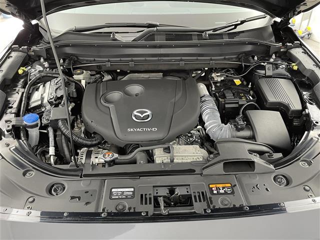 ＣＸ－８ ＸＤ　ブラックトーンエディション　禁煙車　純正ナビ　全方位カメラ　ＢＯＳＥサウンド　ルーフレール　ＢＳＭ　ＨＵＤ　パワーバックドア　ＬＥＤヘッドライト　ハーフレザーシート　パワーシート　シートヒーター　フルセグＴＶ　Ｂｌｕｅｔｏｏｔｈ（42枚目）