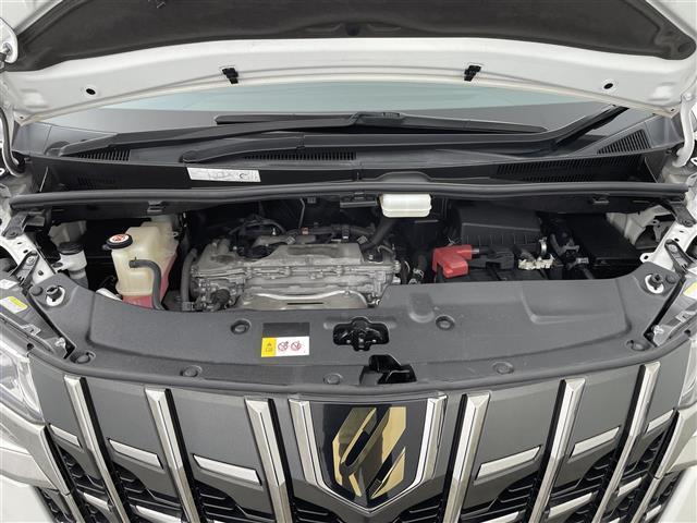 アルファード 2.5S タイプゴールド 禁煙車 純正9型DAナビ 両側パワースライドドア 10.5型フリップダウンモニター トヨタセーフティセンス パワーバックドア レーダークルーズコントロール クリアランスソナー バックカメラ ETC(42枚目)
