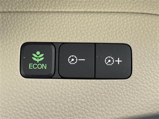 �f�ډӏ��ȊO�ɂ���]�̎ʐ^���������܂�����A���C�y�ɂ��₢���킹�������I���[����X���ł����肳���Ă��������܂��B