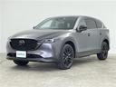 ２５Ｓ　ブラックトーンエディション　禁煙　１０型ナビ　Ｂｌｕｅｔｏｏｔｈ　フルセグ　全方位カメラ　ハーフレザーシート　前席パワーシート　前席シートヒーター　パーキングスイッチ　ブレーキホールド　スマートキー　ＬＥＤオートライト　ＥＴＣ（39枚目）