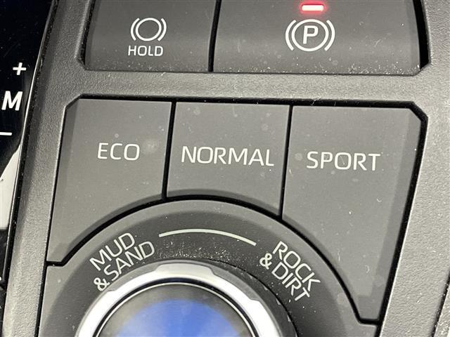 ＲＡＶ４ アドベンチャー　純正９型ナビ　（フルセグＴＶ・ＢＴ・ＨＤＭＩ・ＣＤ・ＤＶＤ・ＡＭ・ＦＭ）バックカメラ　ＢＳＭ　ドラレコ　パワーシート　デジタルインナーミラー　レーダークルコン　レーンキープ　オートマチックハイビーム（33枚目）