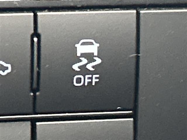 ライズ Ｚ　純正９型ディスプレイオーディオ　バックカメラ　シートヒーター　ＥＴＣ　プリクラッシュセーフティ　レーダークルーズコントロール　レーンキープアシスト　ＬＥＤヘッドライト　オートライト前後コーナーセンサ－（10枚目）