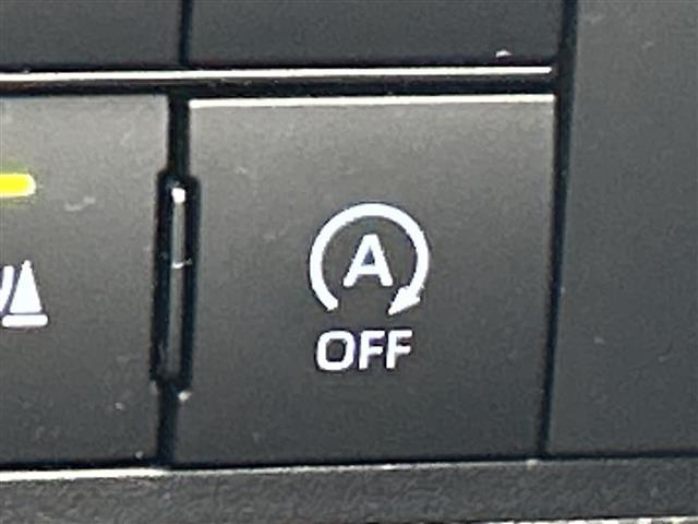 ライズ Ｚ　純正９型ディスプレイオーディオ　バックカメラ　シートヒーター　ＥＴＣ　プリクラッシュセーフティ　レーダークルーズコントロール　レーンキープアシスト　ＬＥＤヘッドライト　オートライト前後コーナーセンサ－（34枚目）